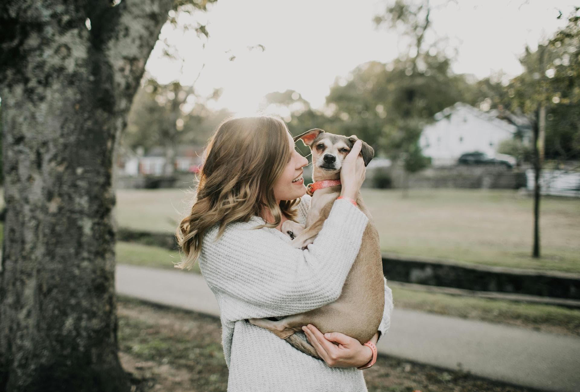 Specialist Vets in Richmond